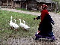 ...приняли на  работу в музей!