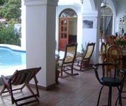 The Dolphin The Dolphin