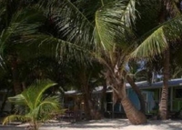 Фото отеля Tobacco Caye Lodge