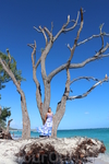 Самые фотографируемые деревья у нас на пляже