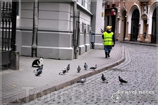 Выходят на службу дворники и коты. В Риге очень любят котов уличных и везде для них установлены ночлежки и кормушки, питьё.