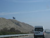 По дороге в Барселону. Везде быки