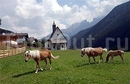 Фото Posthotel Cavallino Bianco