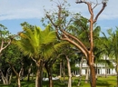 Фото The Cove Eleuthera