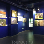 Выставка фотографий в маретариуме