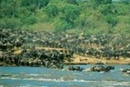 Фото Sarova Mara Game Camp