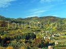 Фото Piccolo Marte