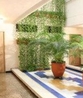 Фото Hotel Don Jaime Cali