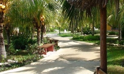 Iberostar Playa Alameda Varadero