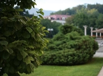 Styria