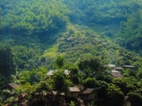 Akha Hill House