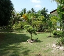 Фото Pension Socrate