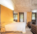 Фото Palome