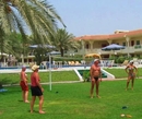 Фото Flamingo Beach Resort