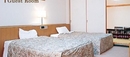 Фото Aizu Astraea Hotel