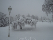 16.12.2011г  promenade   в снегопад