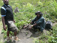 Батат Батат