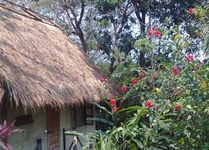 Nam Songsai Eco Lodge