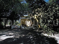 Hotel Cleopatra