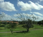 The Woods at Palmas del Mar