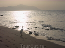 5 утра, традиционные ежеутренние прогулки белого аиста по побережью Красного моря