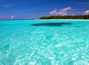 Фото Sun Island Resort