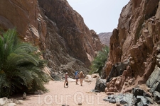 Каньон.
Удивительно, но в этом каньоне посреди пустыни довольно много зелени и есть небольшой горный ручеек. Каньон.
Удивительно, но в этом каньоне посреди пустыни довольно много зелени и есть небольшой горный ручеек.