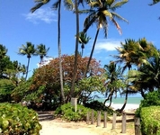 Beach Village Palmas del Mar