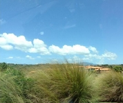 The Woods at Palmas del Mar