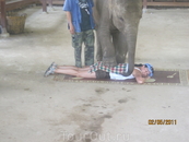 слоновий массаж