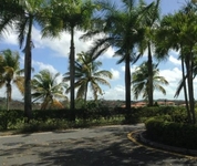 The Woods at Palmas del Mar