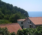 Apartment Radjenovic