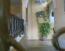 Фото Diyar Timnay