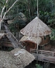 Фото Acajatuba Jungle Lodge