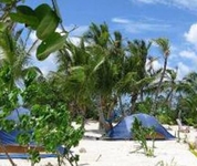 French Louie Caye French Louie Caye