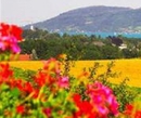 Фото Alpenblick Hotel Attersee