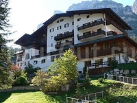 Фото отеля Hotel Dolomiti Funtanacia