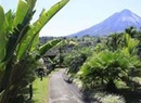 Фото Hotel Lavas Tacotal