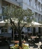 Фото Carlton Ambassador Hotel