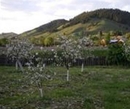 Фото Bucovina Hills Guesthouse