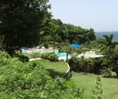 Фото Palm View Guest House