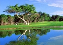 Фото Allegro Playacar