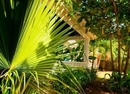 Фото The Palms Resort