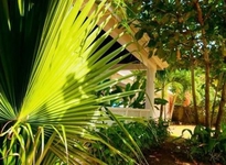 The Palms Resort