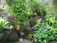 Тропический сад Нонг-Нуч