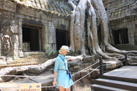 Храмы Ангкора во власти джунглей.