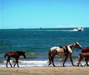 Tropic of Capricorn Resort