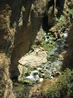 Река в ущелье Тахо.