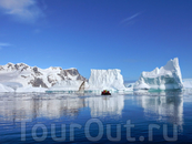 Антарктида 2015