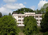 Aleksander